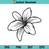 Lily Flower SVG, Lily SVG, Flower, Lily Flower Clipart, Lily Flower SVG Cut File, Lily, Flower, SVG, PNG, DXF, Cricut, Cut File