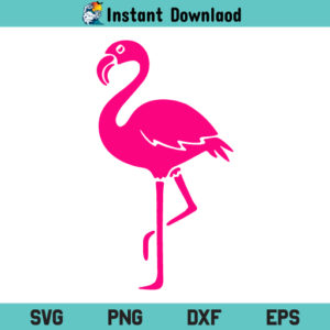 Flamingo SVG, Flamingo SVG Cut File, Flamingo SVG File, Flamingo SVG Design, Flamingo, SVG, PNG, DXF, Cricut, Cut File, Clipart