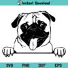 Cute Pug Dog SVG, Pug Dog SVG, Cute Pug SVG, Pug SVG, Peeking Cute Pug Dog, Peekaboo Pug SVG, Cute Pug Face SVG, Cute Pug Face SVG File, Pug SVG File, Pug, SVG, PNG, DXF, Cricut, Cut File, Clipart