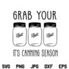 Grab Your Balls SVG, Grab Your Balls Its Canning Season SVG, Canning Season, Canning SVG, Kitchen SVG, Farmhouse SVG, Funny Kitchen SVG, Mason Jar SVG, Ball Canning SVG, PNG, DXF, Cricut, Cut File