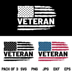 Veteran US Flag SVG Bundle, Veteran USA Flag SVG, Veteran Flag SVG, American Flag SVG, Veteran SVG, US Flag SVG, PNG, DXF, Cricut, Cut File