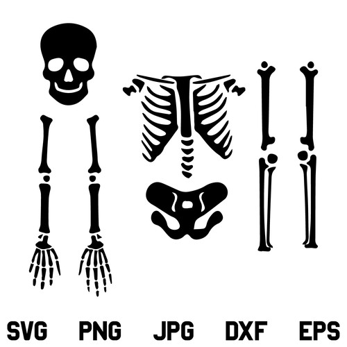 Skeleton Parts SVG, Halloween Skeleton SVG, Skeleton SVG, Halloween SVG, Skeleton Bones SVG, Skeleton Parts, SVG, PNG, DXF, Cricut, Cut File